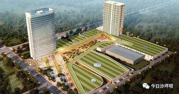 全市第一 沙坪壩招商引資跑出 加速度