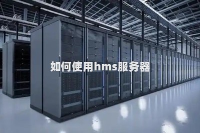 高效利用HMS服務(wù)器 數(shù)據(jù)處理與存儲支持全攻略
