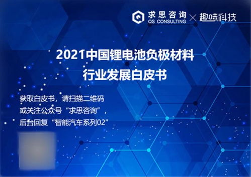 求思咨詢與趣味科技聯合發布《2024年鋰電池負極材料技術白皮書》 技術演進與產業變革深度解析